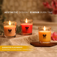 Plush Lounge Cosmetics & Beauty Products Online