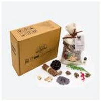 Plush Lounge Cosmetics & Beauty Products Online