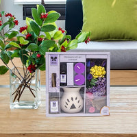 Plush Lounge Cosmetics & Beauty Products Online