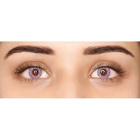 Plush Lounge Cosmetics & Beauty Products Online