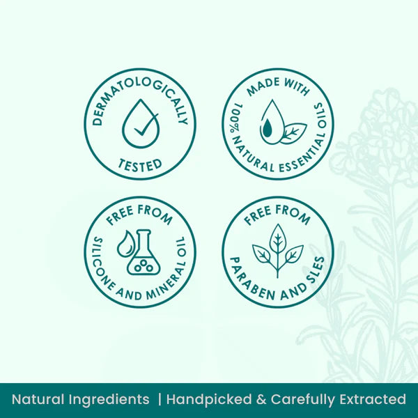 Plush Lounge Cosmetics & Beauty Products Online