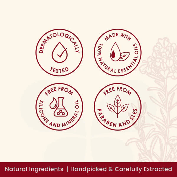 Plush Lounge Cosmetics & Beauty Products Online