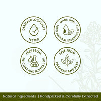 Plush Lounge Cosmetics & Beauty Products Online