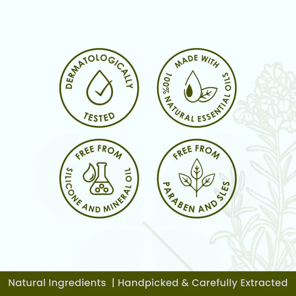 Plush Lounge Cosmetics & Beauty Products Online