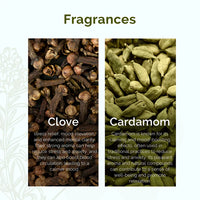 Plush Lounge Cosmetics & Beauty Products Online