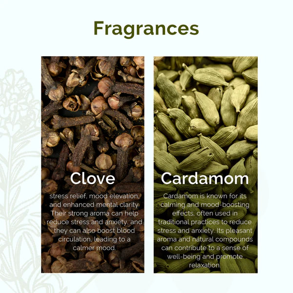 Plush Lounge Cosmetics & Beauty Products Online