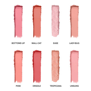 Back Stage Essential 8 Color Blush Palette