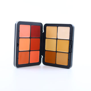 Palette Essentiels Teint Face Palette