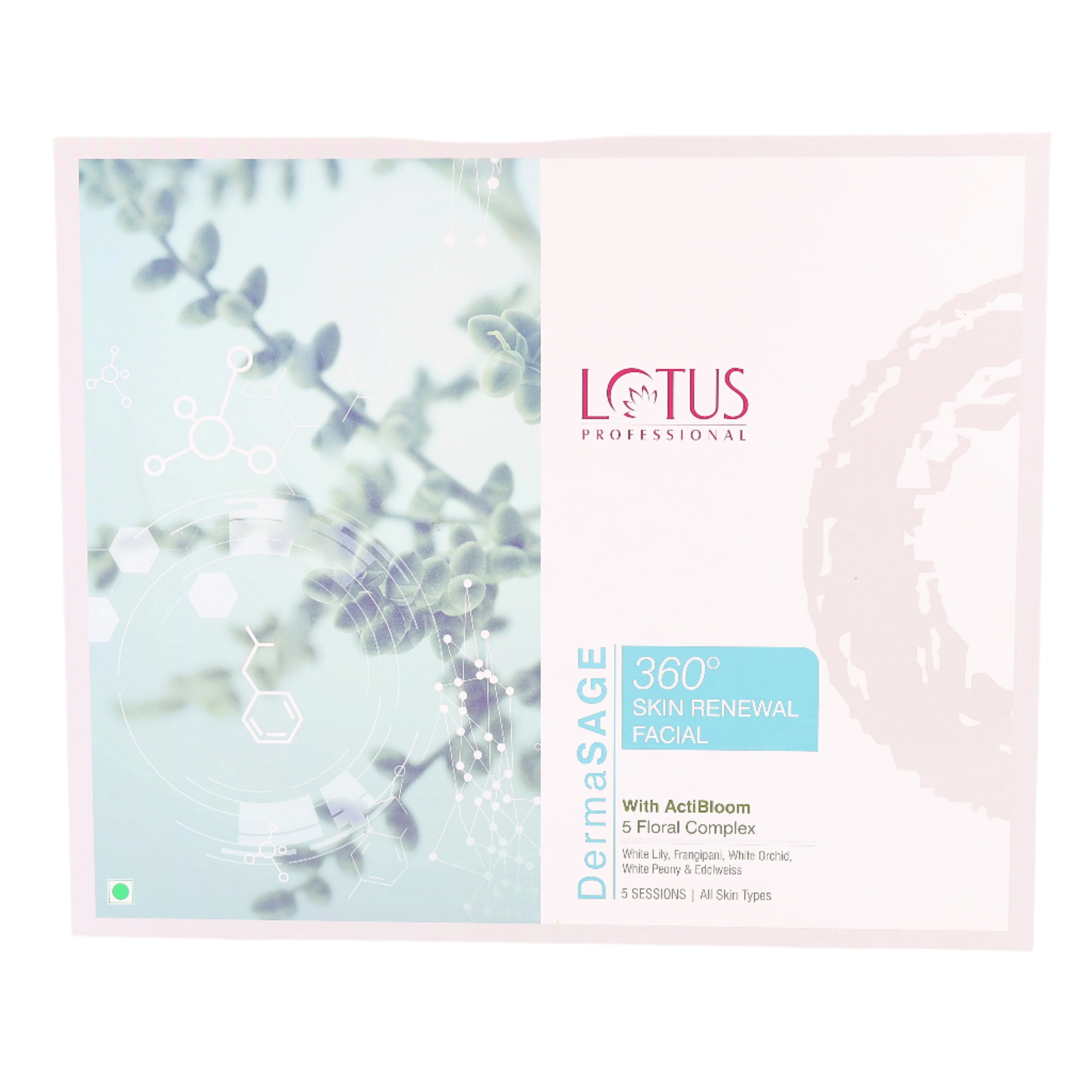 Plush Lounge Cosmetics & Beauty Products Online