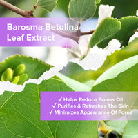 Plush Lounge Cosmetics & Beauty Products Online