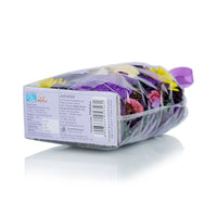 Plush Lounge Cosmetics & Beauty Products Online