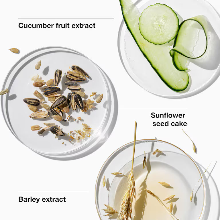 Plush Lounge Cosmetics & Beauty Products Online