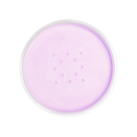 Plush Lounge Cosmetics & Beauty Products Online