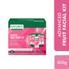 Nature's Essence Professional Advanced Fruit Facial Kit -250gm