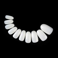 Plush Lounge Cosmetics & Beauty Products Online