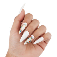 Plush Lounge Cosmetics & Beauty Products Online