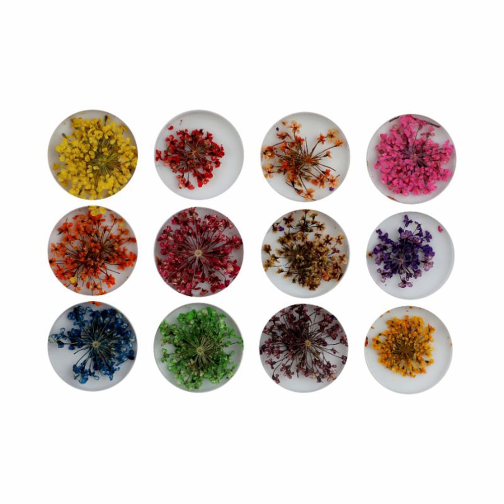 Plush Lounge Cosmetics & Beauty Products Online