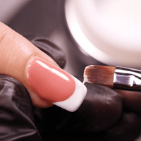 Plush Lounge Cosmetics & Beauty Products Online