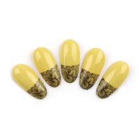 Plush Lounge Cosmetics & Beauty Products Online