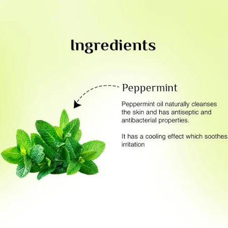 Plush Lounge Cosmetics & Beauty Products Online