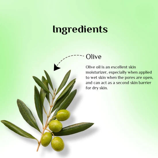 Plush Lounge Cosmetics & Beauty Products Online