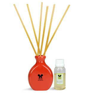 Reed Diffuser Set