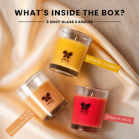 Plush Lounge Cosmetics & Beauty Products Online