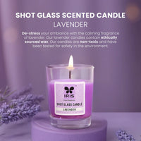 Plush Lounge Cosmetics & Beauty Products Online