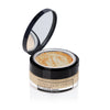 Translucent powder