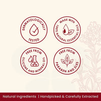 Plush Lounge Cosmetics & Beauty Products Online