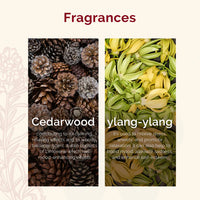 Plush Lounge Cosmetics & Beauty Products Online