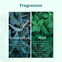 Plush Lounge Cosmetics & Beauty Products Online