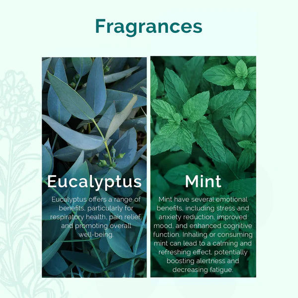 Plush Lounge Cosmetics & Beauty Products Online