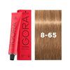 IGORA ROYAL 8-65 Light Blonde Chocolate Gold 60 ml