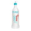 Pro Botanx Color Protect 1000ml
