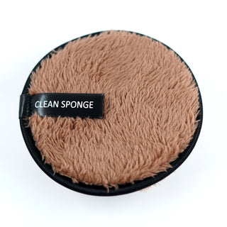 Clean Sponge