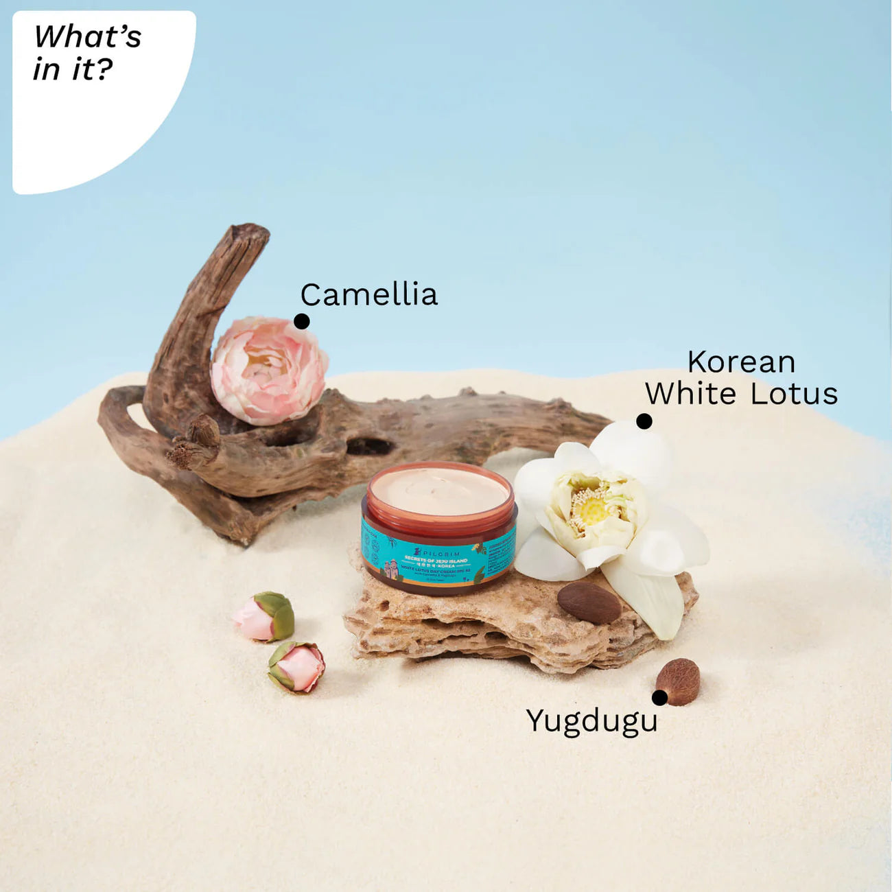 Plush Lounge Cosmetics & Beauty Products Online