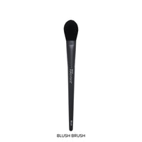 Plush Lounge Cosmetics & Beauty Products Online