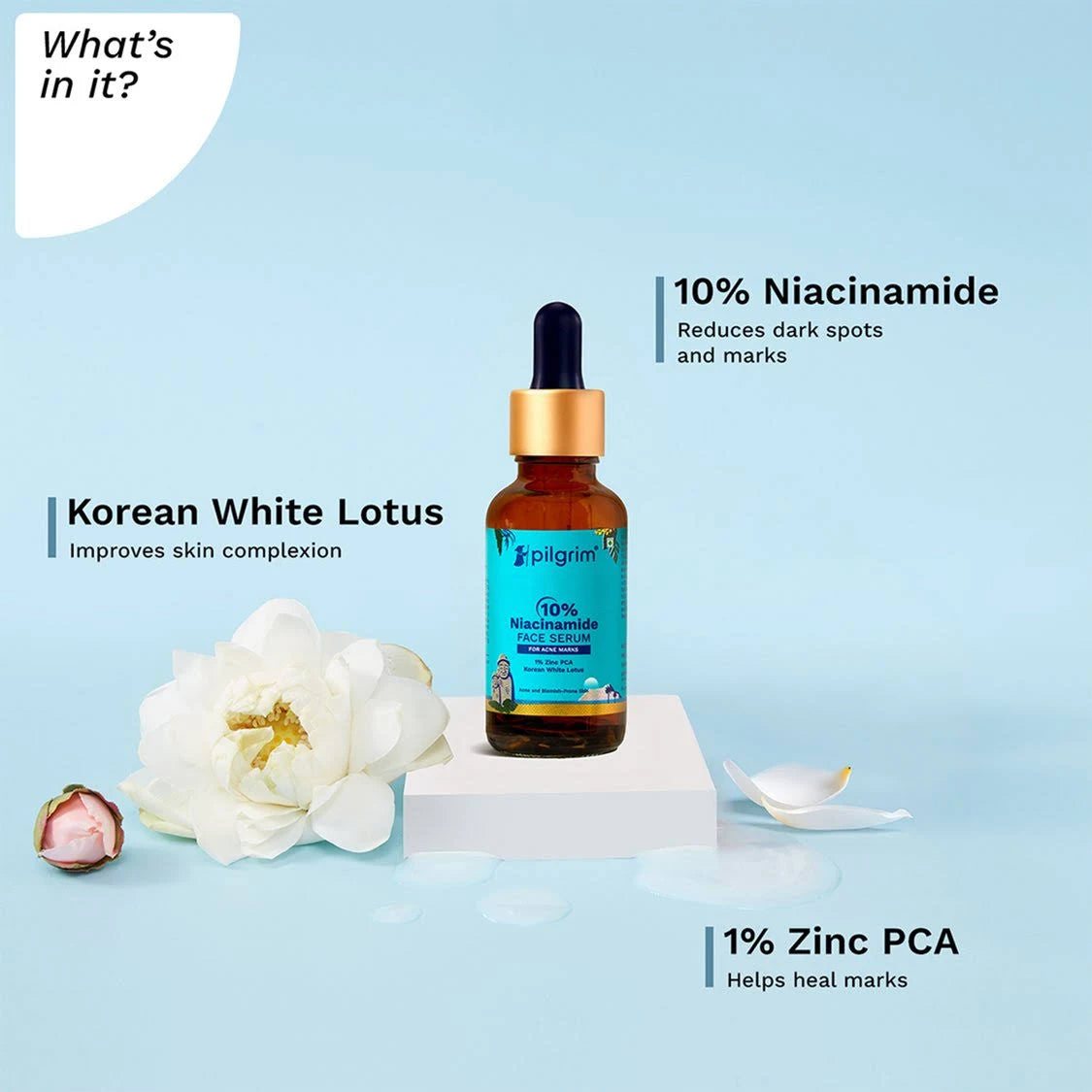 Plush Lounge Cosmetics & Beauty Products Online